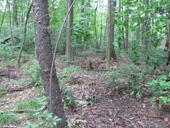 community photo